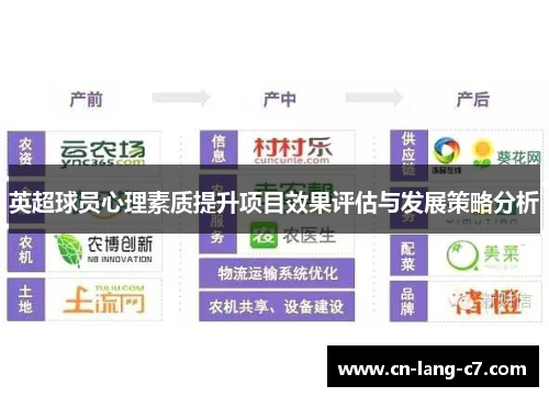 英超球员心理素质提升项目效果评估与发展策略分析