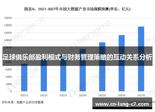 足球俱乐部盈利模式与财务管理策略的互动关系分析