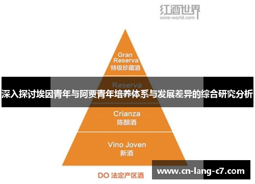 深入探讨埃因青年与阿贾青年培养体系与发展差异的综合研究分析