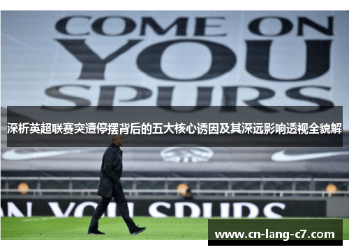 深析英超联赛突遭停摆背后的五大核心诱因及其深远影响透视全貌解