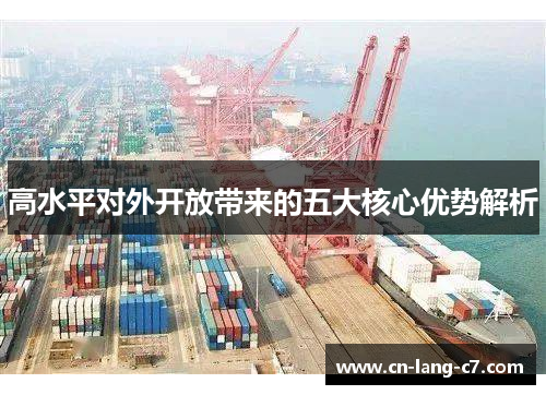 高水平对外开放带来的五大核心优势解析