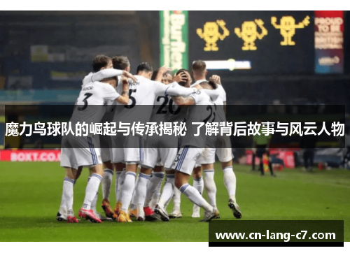 魔力鸟球队的崛起与传承揭秘 了解背后故事与风云人物