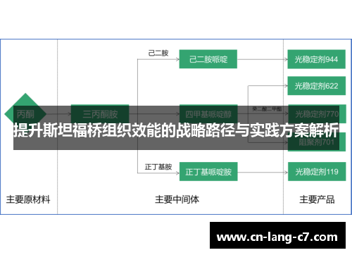 提升斯坦福桥组织效能的战略路径与实践方案解析