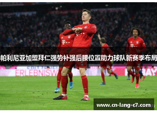 帕利尼亚加盟拜仁强势补强后腰位置助力球队新赛季布局