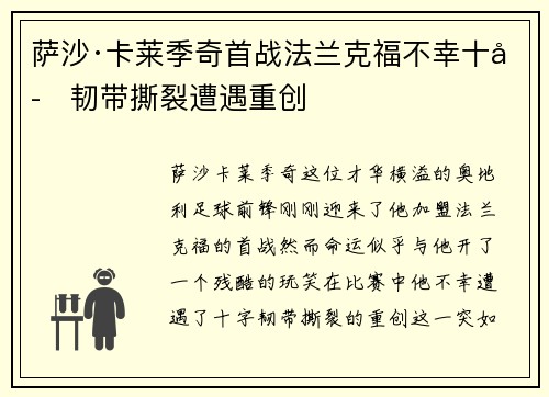 萨沙·卡莱季奇首战法兰克福不幸十字韧带撕裂遭遇重创